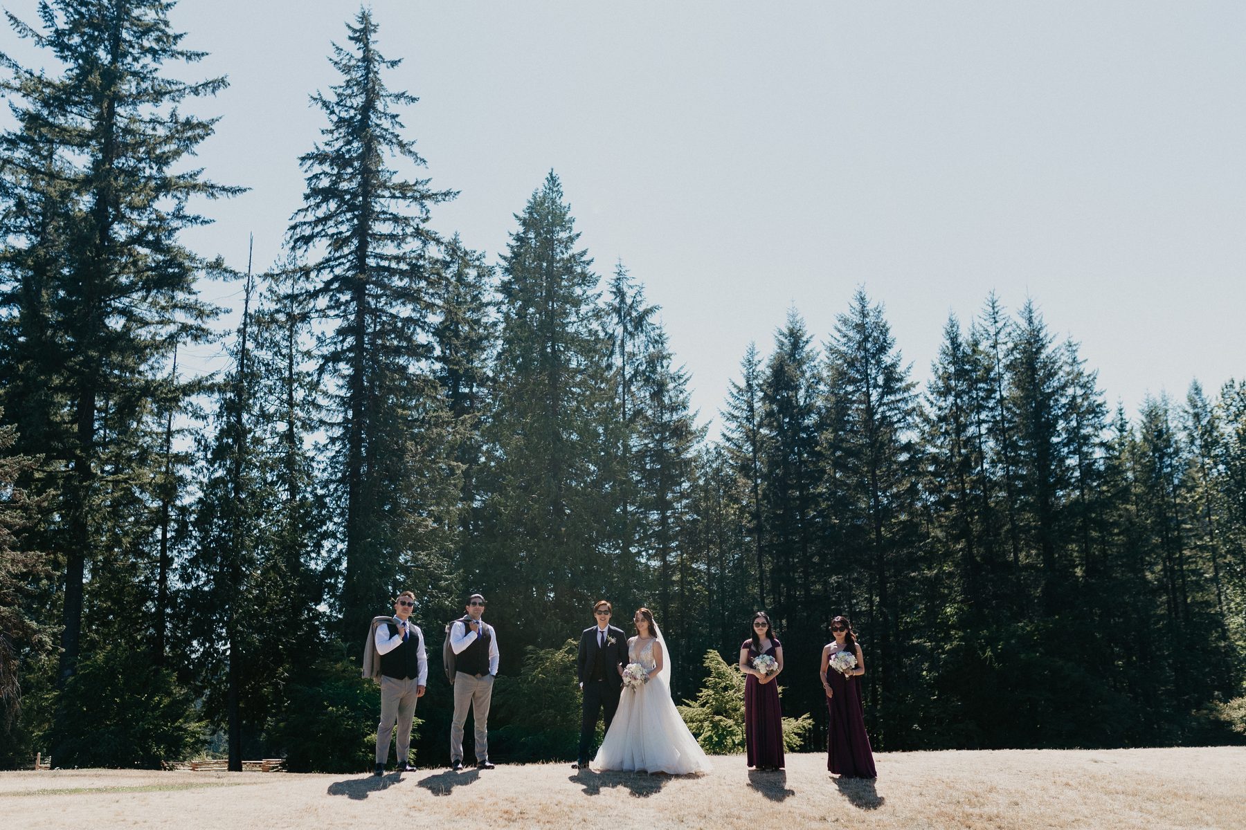 The wedding party lined up at a mountain lookout with evergreens and open sky behind them