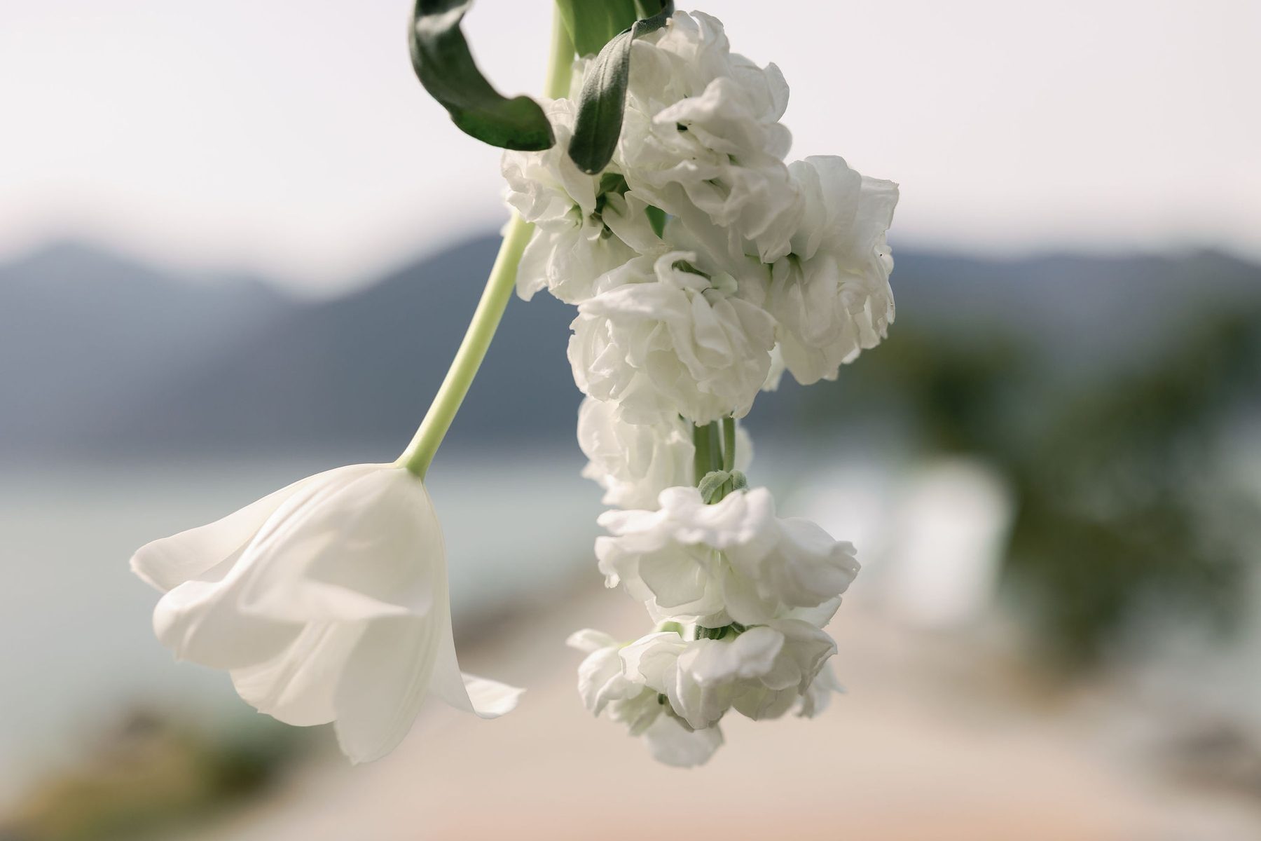Elopement florals detail