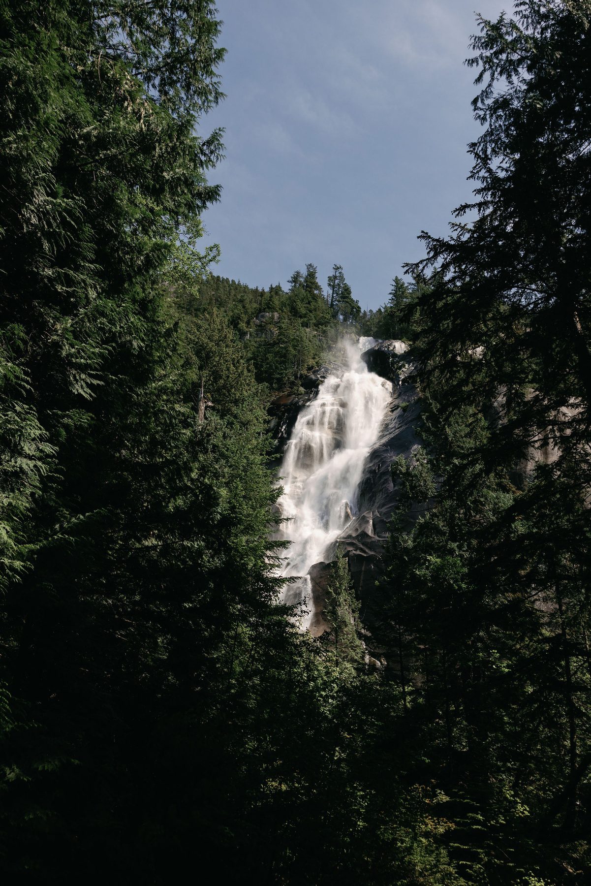 Shannon Falls dropping through old-growth forest near Squamish